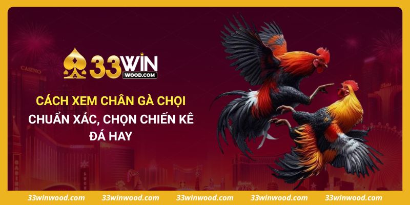 Cách Xem Chân Gà Chọi Chuẩn Xác, Chọn Chiến Kê Đá Hay