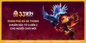 Khám Phá Đá Gà Thomo Chuẩn Xác Từ A Đến Z Cho Người Chơi Mới