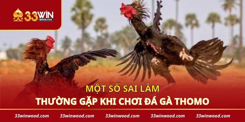 Một số sai lầm thường gặp khi chơi đá gà thomo